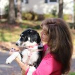 Experienced-Dog-Trainer-in-Raleigh