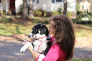 Experienced-Dog-Trainer-in-Raleigh