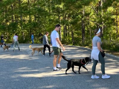 reactive rover class 8