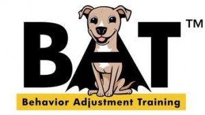 Bat Behavior Training Bat Behavior Training